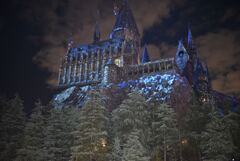  Hogwarts Castle