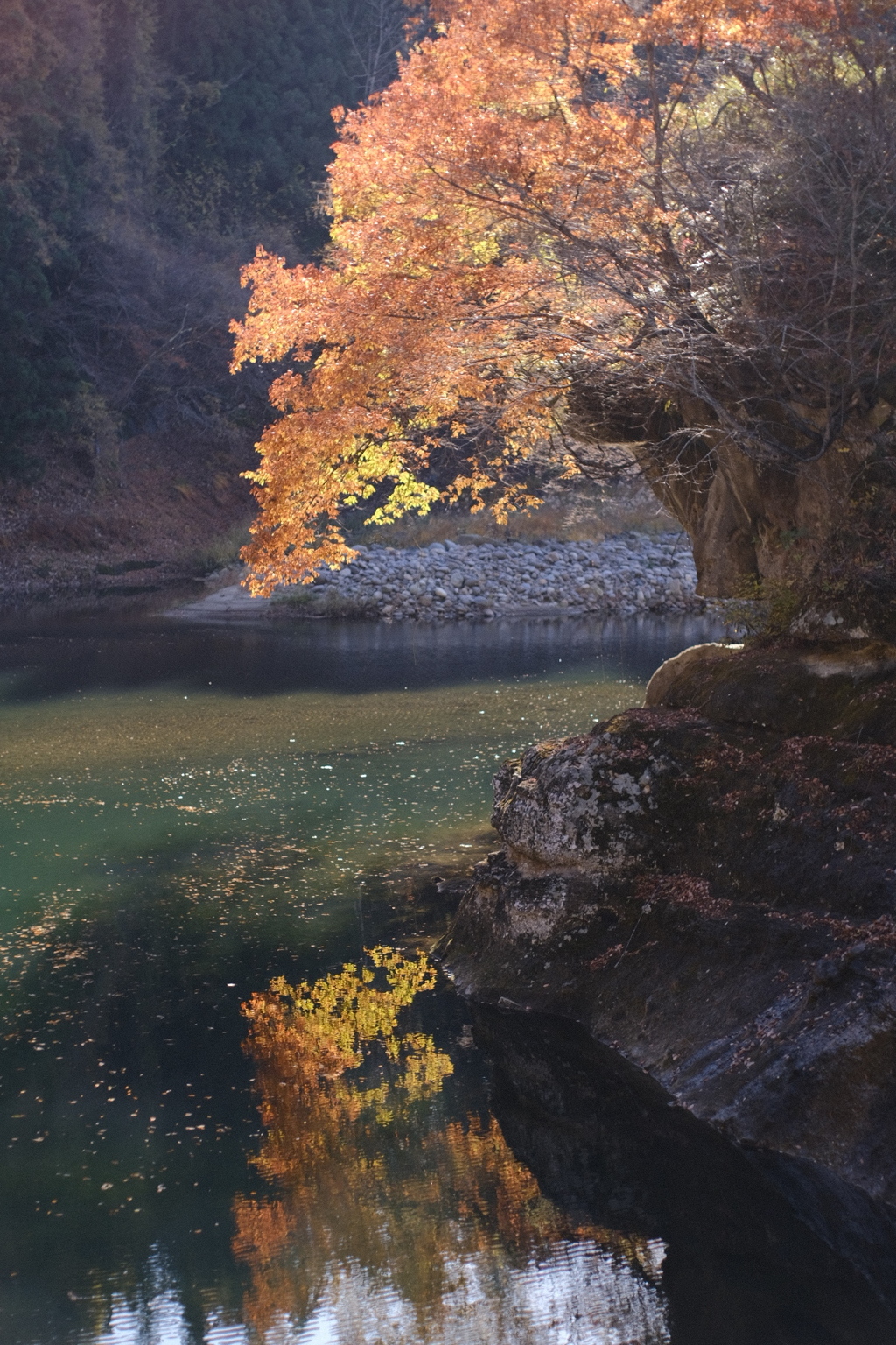 岸壁を彩る