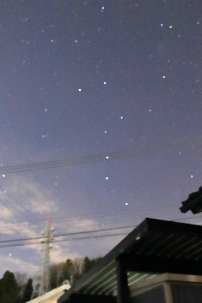 おおくま座2