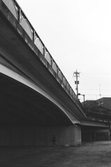 見上げる橋