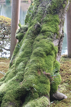 長い年月