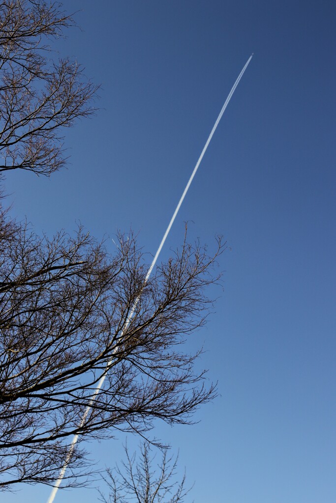 飛行機雲