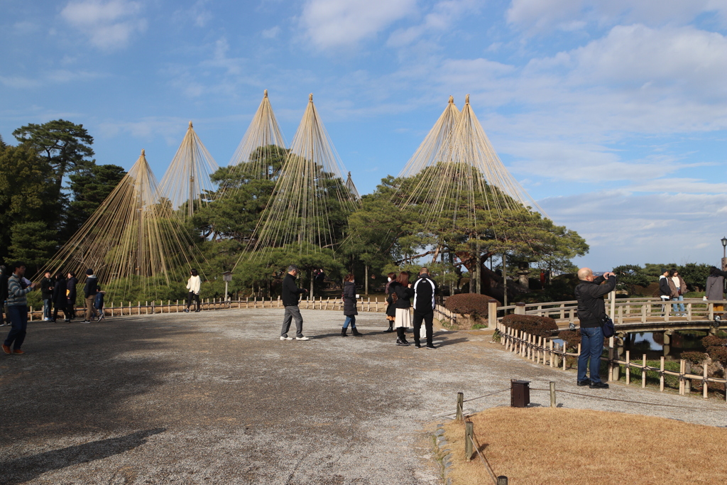 青空に開く錦糸