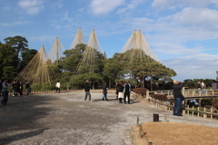 青空に開く錦糸