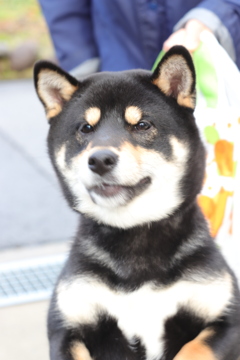 遊んで‼️