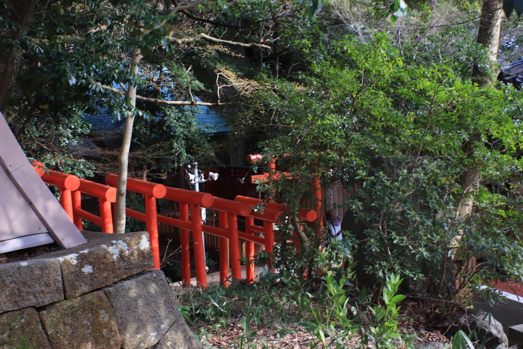 境内の森へ