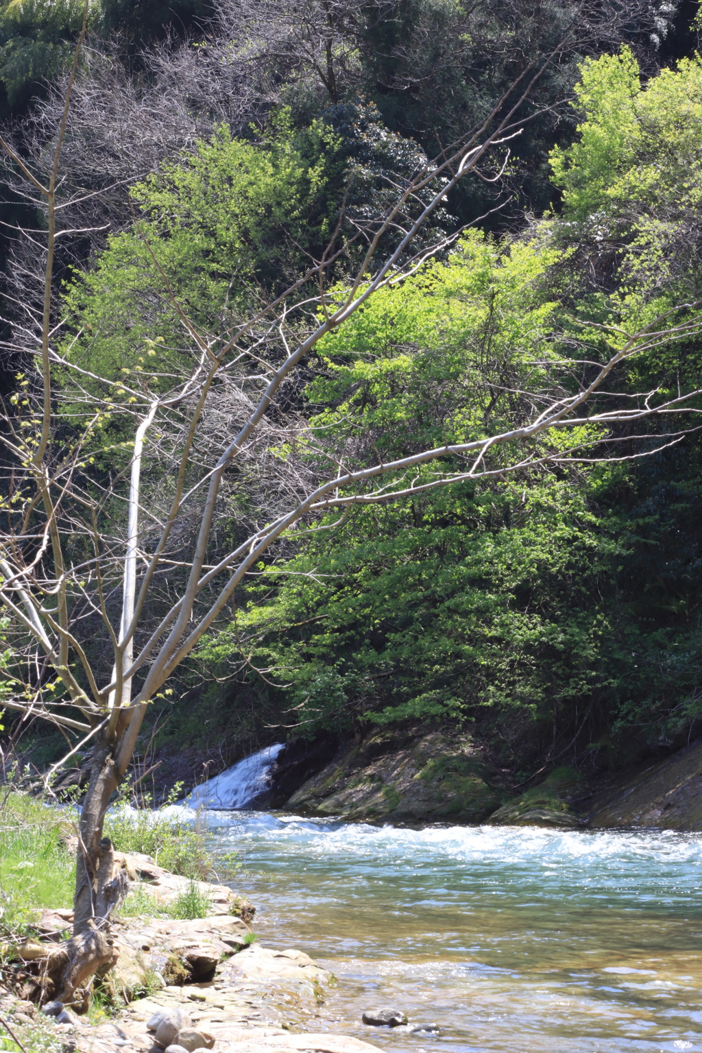 犀川へ