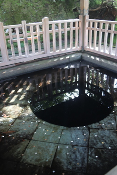 金城霊沢