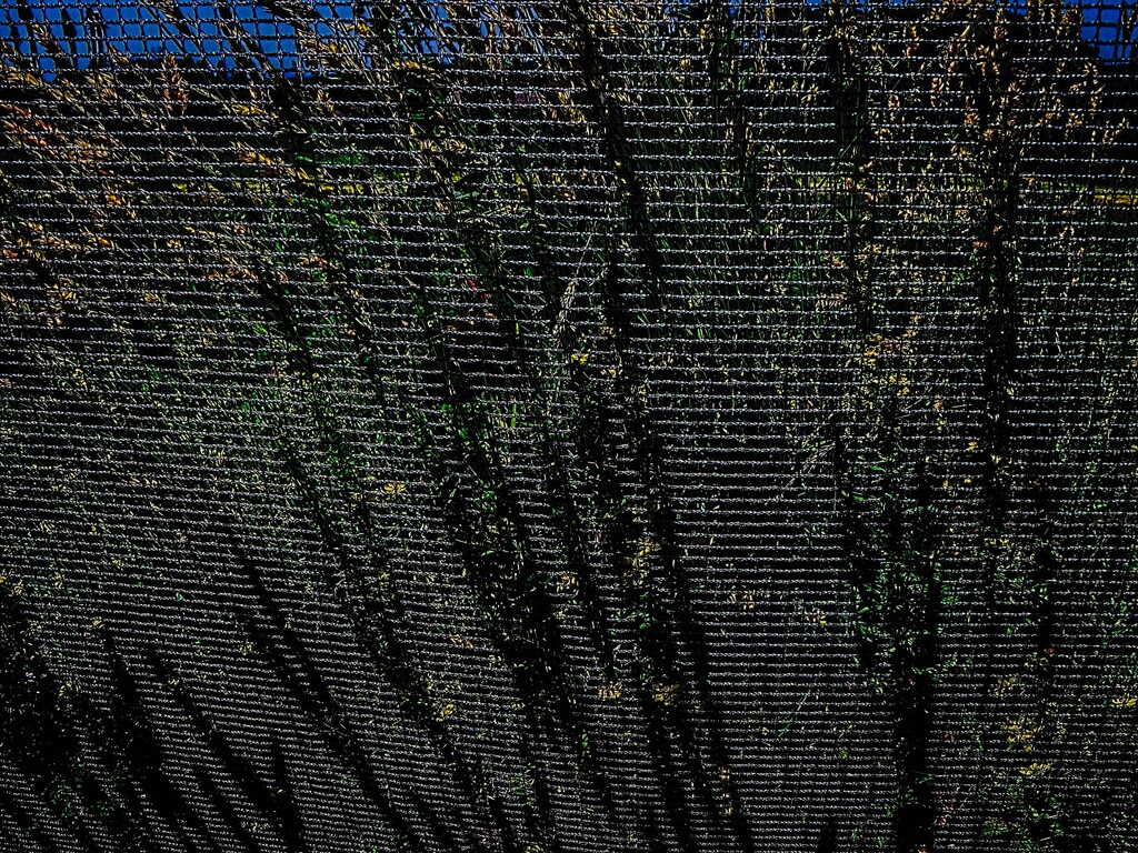 困惑