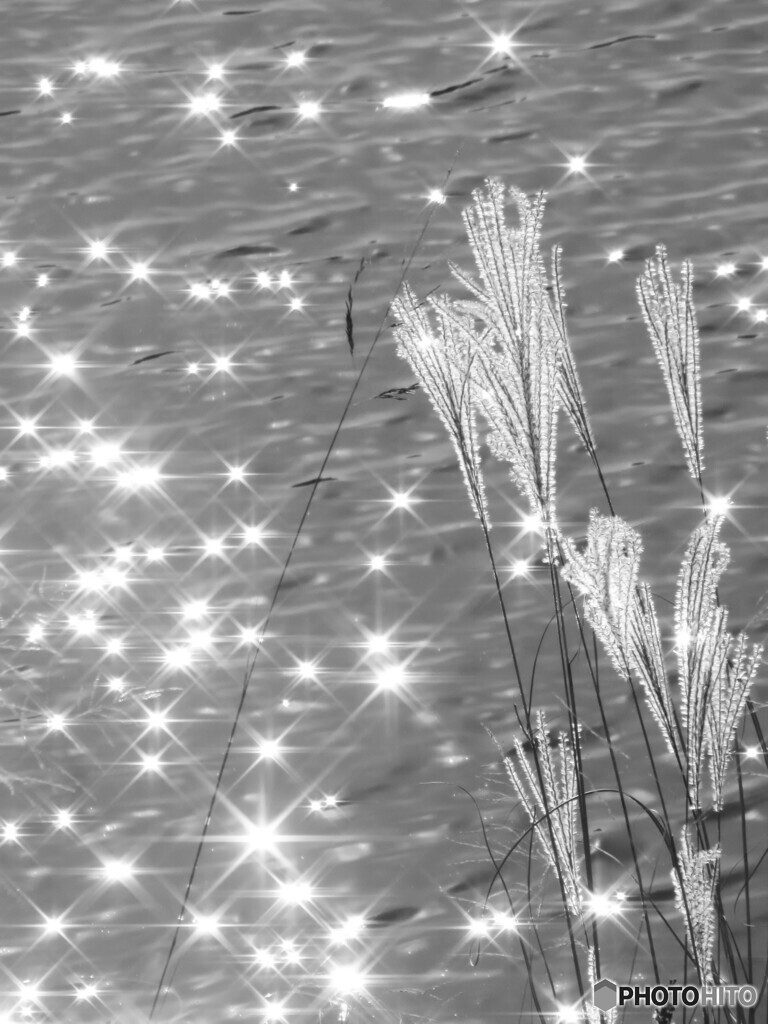 水上花火