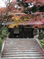 お寺の紅葉