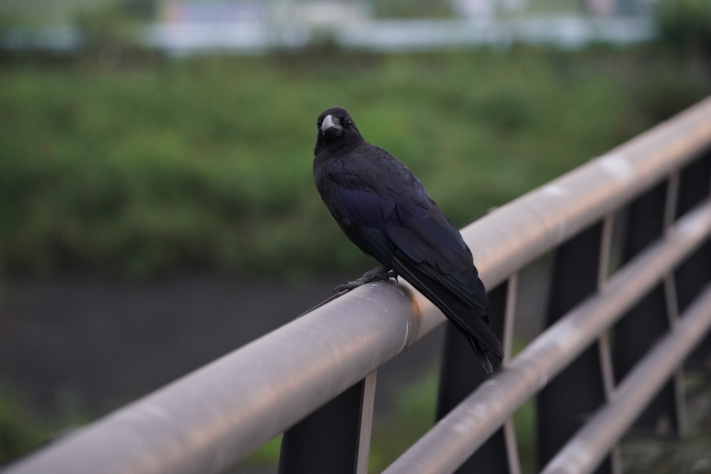 そんなに見ないでよ・・・・