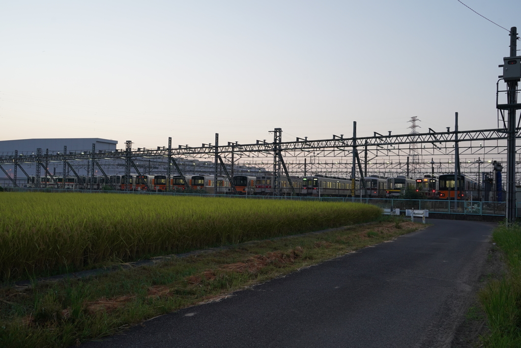 おはようございます。