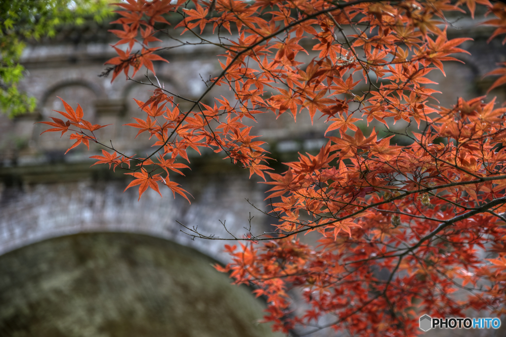 紅い橋