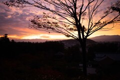 銀閣寺境内からの夕焼け-デジタルカメラ版