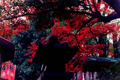 京都にて紅葉と灯籠