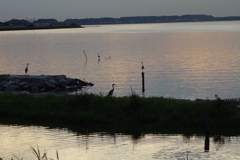 IMGP8079