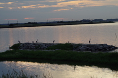 IMGP8077
