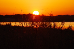 霞ヶ浦に映える夕陽