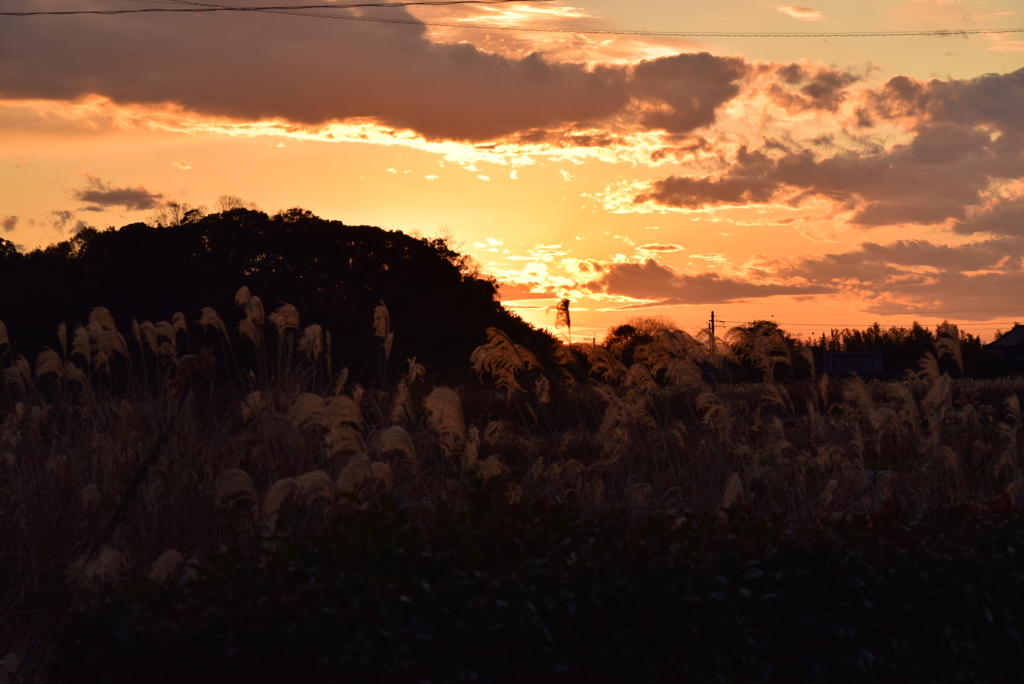小山に沈む夕日とススキ