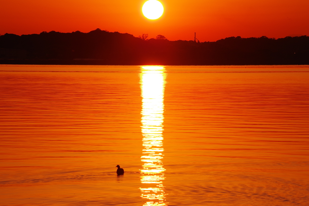 霞ヶ浦に映える夕陽