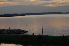 IMGP8072