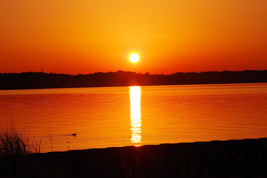 霞ヶ浦に映える夕陽