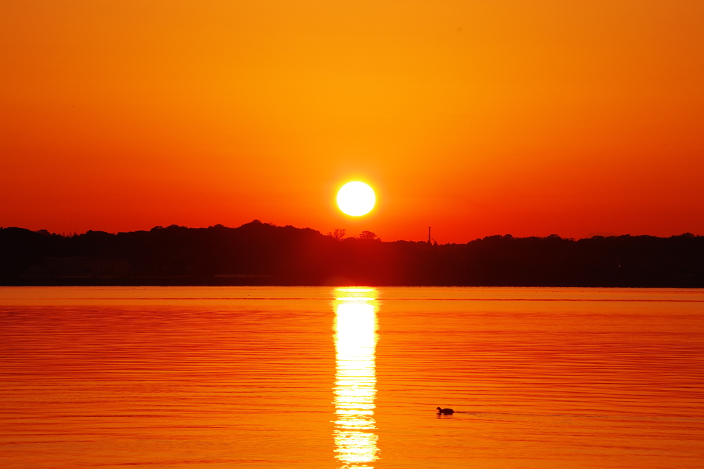 霞ヶ浦に映える夕陽