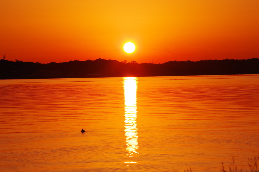 霞ヶ浦に映える夕陽