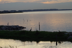 IMGP8078