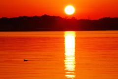 霞ヶ浦に映える夕陽