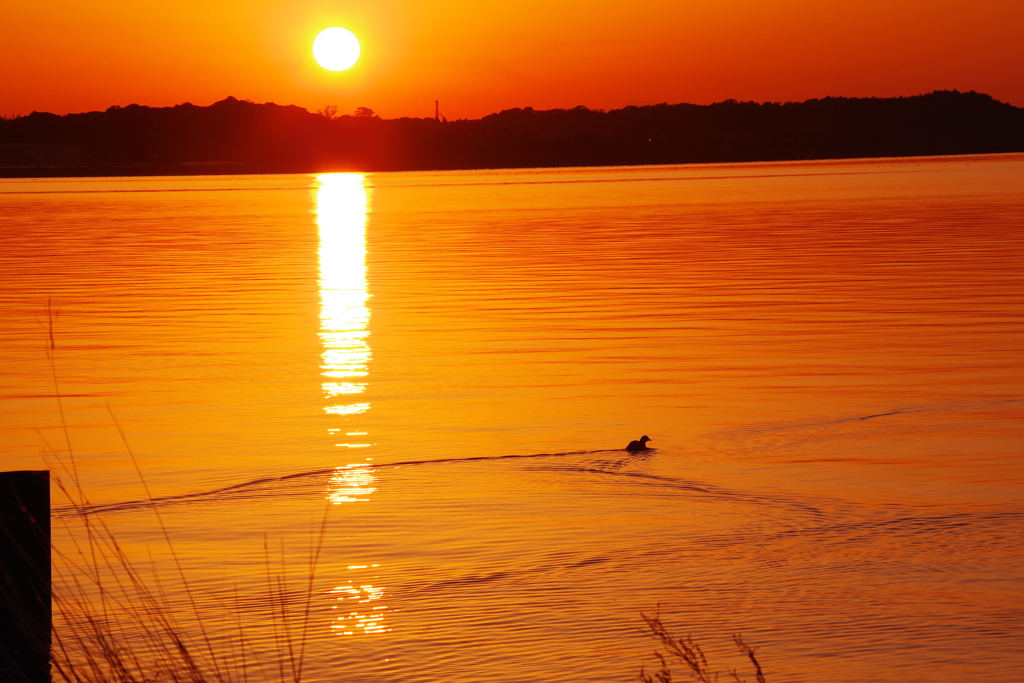 霞ヶ浦に映える夕陽