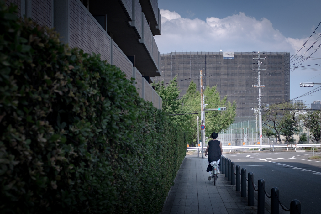 自転車と入道雲...