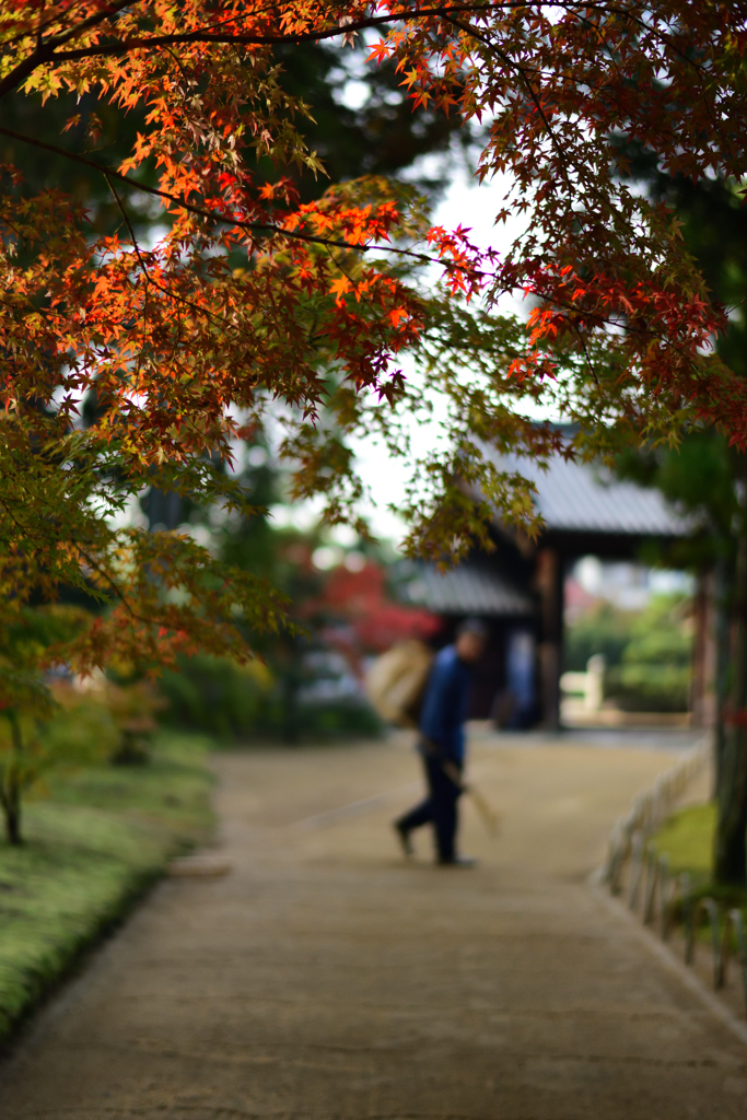 曹源寺（岡山市）