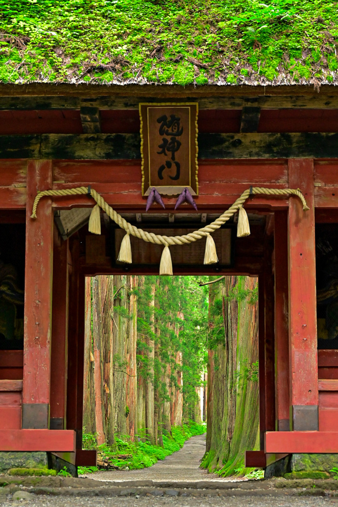 戸隠神社　御神門