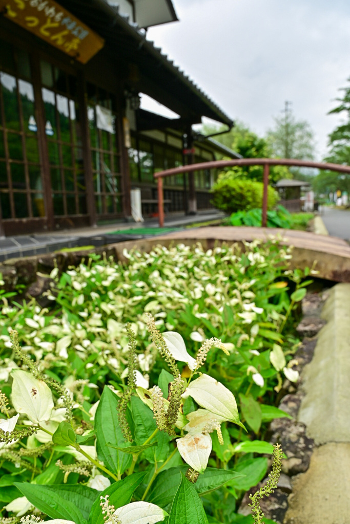 神河町