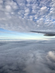 飛行機