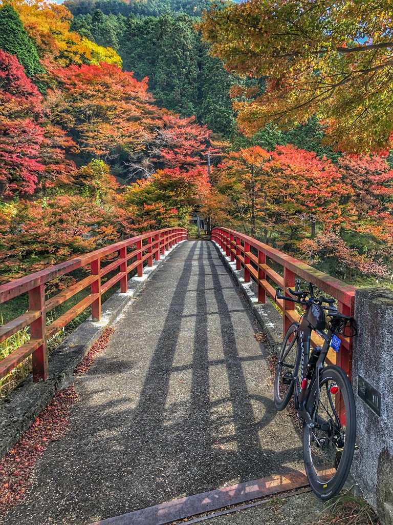 生野