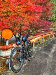 銀山湖