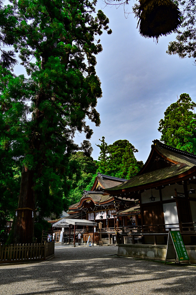 大神神社　