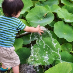 みず！
