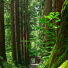 戸隠神社　御神門