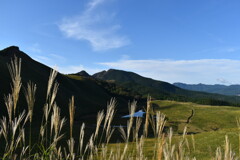 曽爾高原