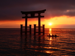 琵琶湖 白髭神社
