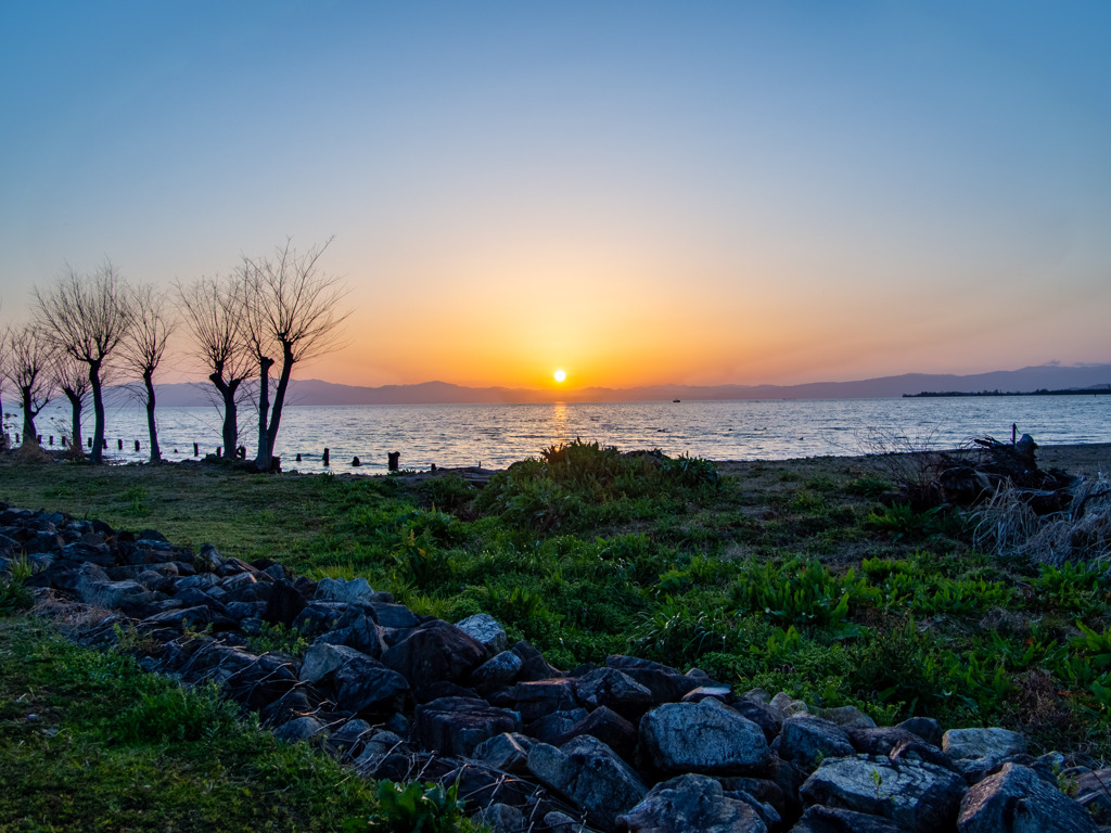 夕日