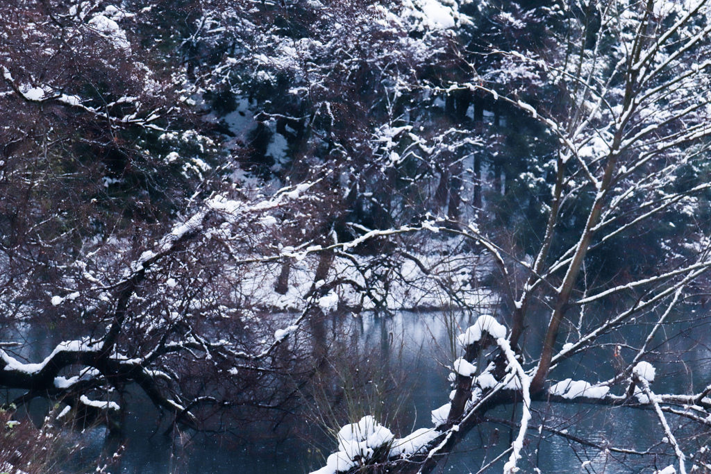 雪の余呉湖