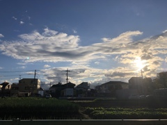 気温低けれど空は秋