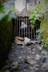 側溝
