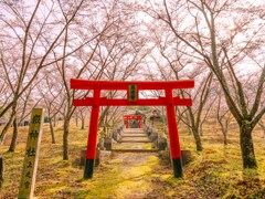 桜花の社