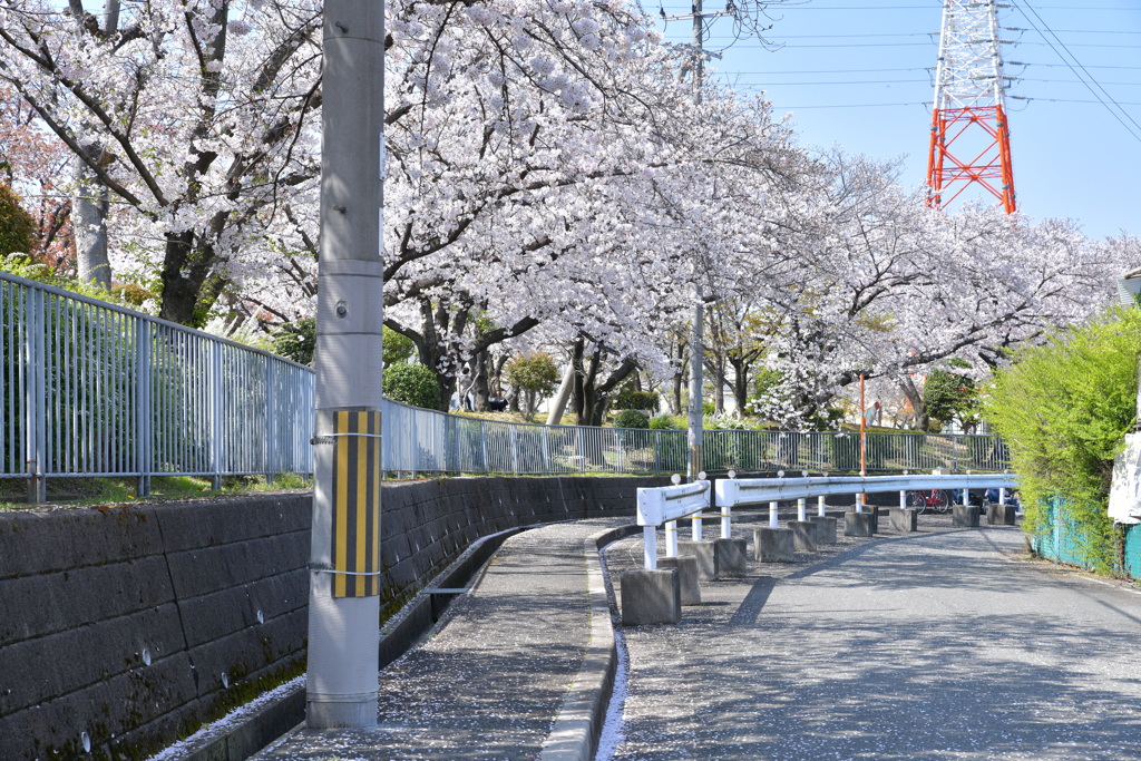 通り道
